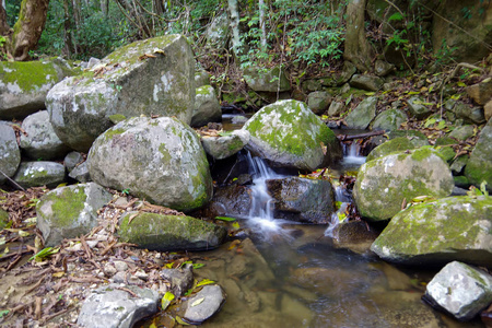 雨林里的小溪流。它构成了那些小但非常美丽的瀑布