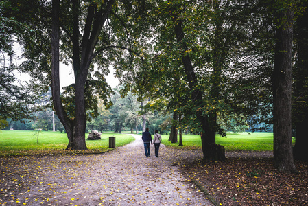 夫妻在公园的秋景中散步