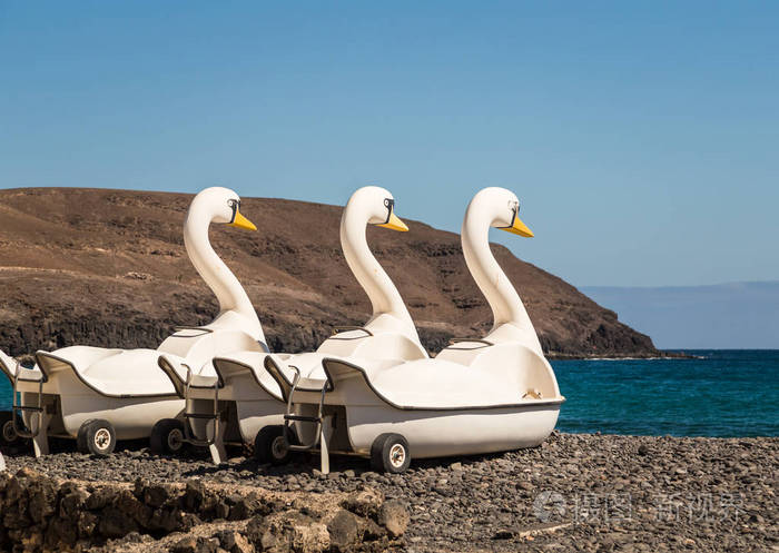 在西班牙fuerteventura的pozonegro海滩上停放的天鹅脚踏船