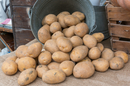 褐色土豆推出老铁铲斗在黄麻纺织机械展览会
