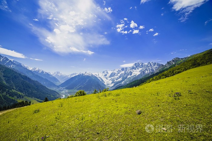 起伏的绿色山丘和蓝蓝的天空