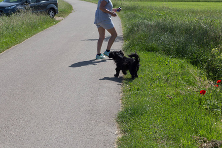 在阳光明媚的夏日健身, 如跑步或骑车有时与狗