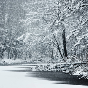 拉脱维亚降雪期间被雪覆盖的森林湖泊