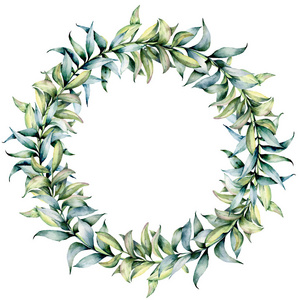 水彩花环与冬季植物。手绘圣诞花环与桉树枝和叶子查出在白色背景。设计打印或背景的假日插图