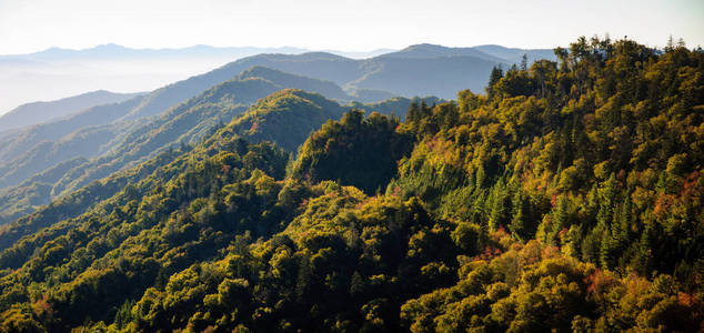 大雾山国家公园