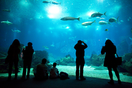 水族馆