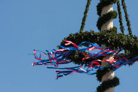 节日梅杆装饰在蓝天背景
