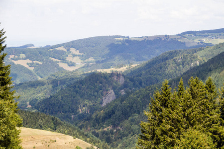 从山 Belchen 在黑森林的 Mnstertal 在大黄酸水平方向的看法