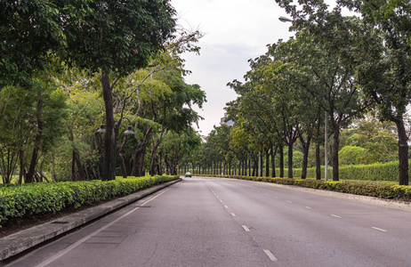 绿树成荫乡村道路