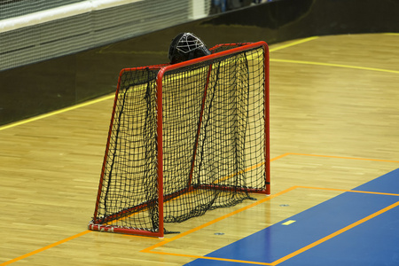 冰球网冰上曲棍球球员曲棍球图标集勇敢的中世纪骑士将他的数据存储在