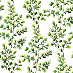 水彩的铁线蕨叶无缝模式。手绘蕨类装饰。孤立在白色背景上的花卉插图。设计 纺织和背景