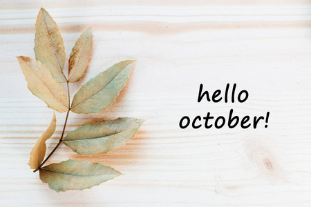 10月你好图片 10月你好素材 10月你好插画 摄图新视界 10月你好图片 10月你好素材 10月你好插画 摄图新视界