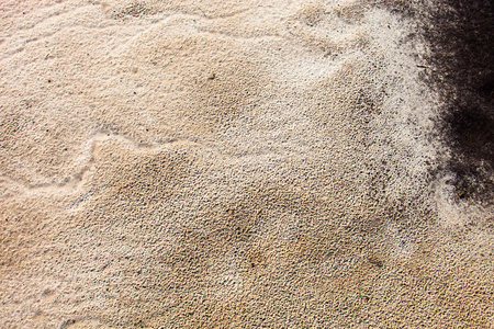 雨后的砂面