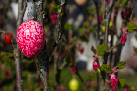 复活节彩蛋挂在树上田园诗般的复活节风景