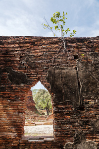 扫管笏 Phra Si Sanphet，大城府，泰国前皇家寺庙废墟