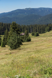 保加利亚斯莫梁地区 Pamporovo Snezhanka 峰和滑雪胜地附近的 Rhodope 山脉令人惊叹的夏季景观