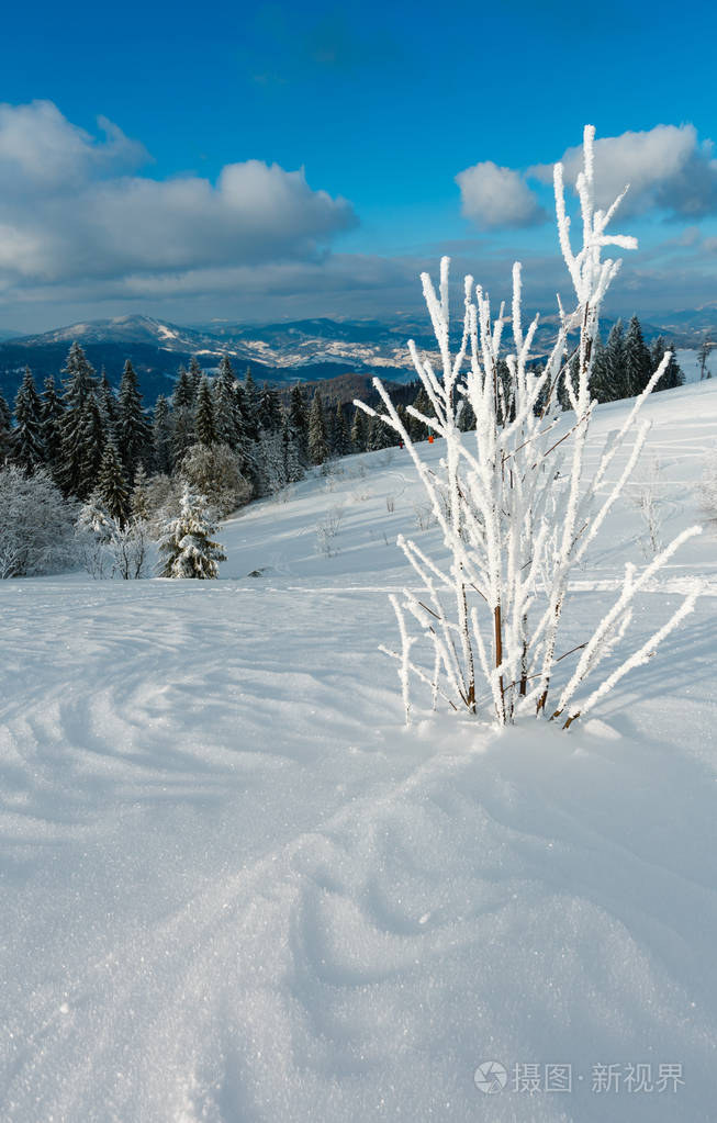 冬天平静的山景美丽的霜树和