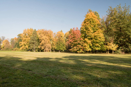 捷克卡尔维纳市鸟巢湾公园上的秋景, 草地, 五颜六色的树木和晴朗的天空