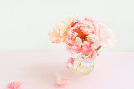 粉红色背景的小花瓶里的一束粉红色的牡丹花。卡片概念, 柔和的颜色, 特写图片, 空间为文本
