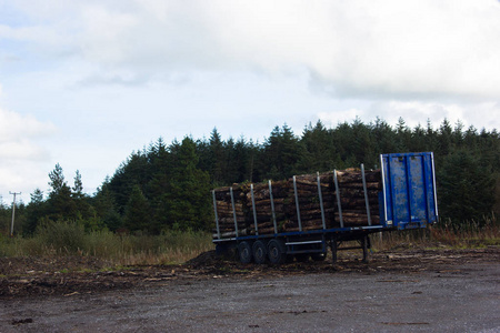 装有原木和木柴的蓝色拖车