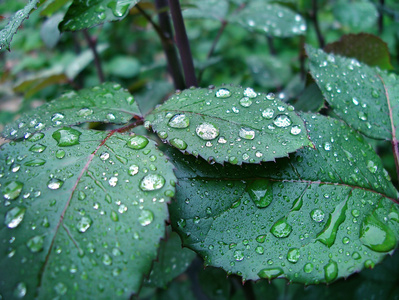 雨后