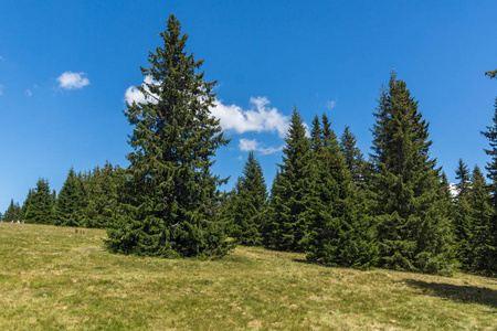 保加利亚斯莫梁地区 Pamporovo Snezhanka 峰和滑雪胜地附近的 Rhodope 山脉令人惊叹的夏季景观