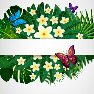 花艺设计背景。鸡蛋花，热带叶和