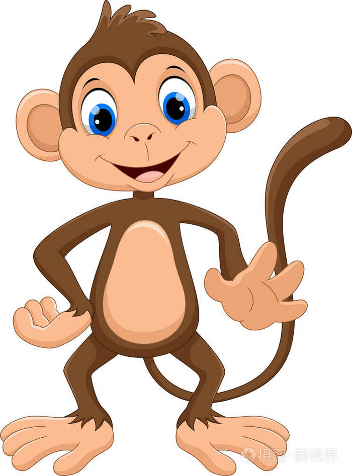 可爱的猴子卡通在白色背景下隔离