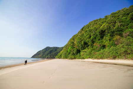 海滩和热带海