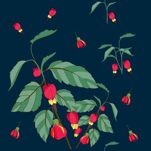 灯笼花棉鞋图案图片