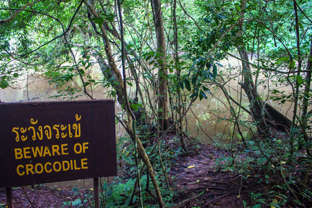丛林和鳄鱼警告标志