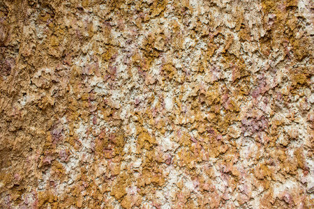 棕壤细节自然背景图片