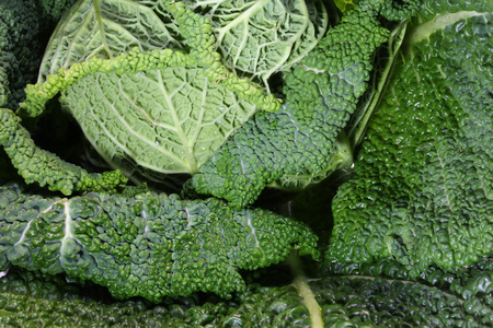 树叶叶脉的许多浮雕涟漪白菜照片