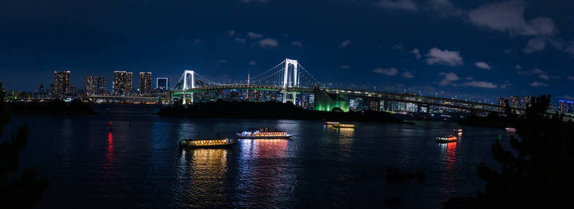 日本东京台场彩虹桥与东京湾夜景景观全景