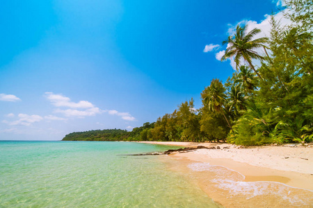 美丽的天堂海岛与海和海滩风景在椰子棕榈树附近假日假期概念