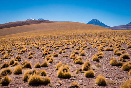 智利月亮谷的惊人景色