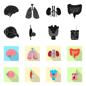 人体和人体图标的矢量图示。一套身体和医疗股票向量例证