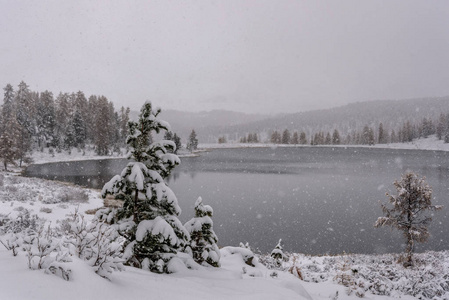 在湖面上的第一场雪, 在山上的森林和树木在秋天多云的天空