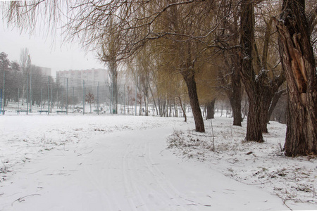 美丽的白雪覆盖的城市公园与树木和路径
