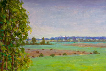 农田蓝天画乡村风景.