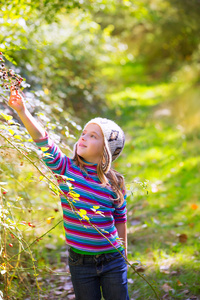 孩子冬姑娘在森林里采摘桑叶浆果