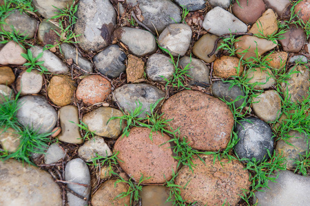 石头的背景。路上的花园石头。石头和草的纹理。公园里的人行道