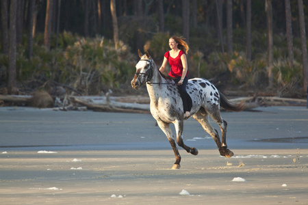 女人在海滩上骑马