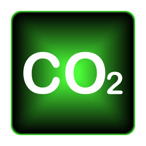 Co2 图标。白色背景上的互联网按钮