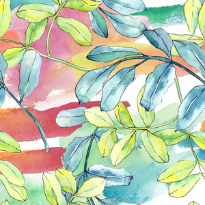Watercolo 绿相思叶。叶植物植物园花叶。无缝的背景图案。织物墙纸打印纹理。背景纹理包装图案的水彩画叶