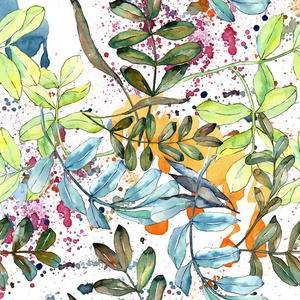Watercolo 绿相思叶。叶植物植物园花叶。无缝的背景图案。织物墙纸打印纹理。背景纹理包装图案的水彩画叶