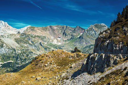 高山