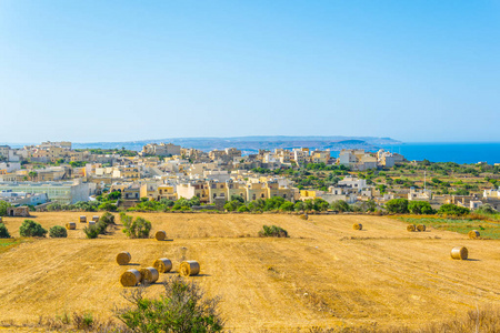 qala 在 gozo 的鸟图, malt