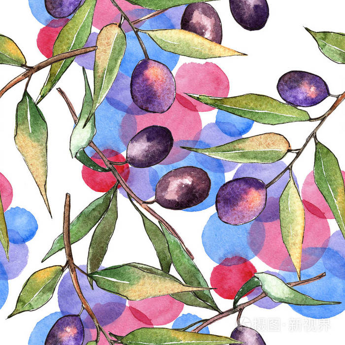 橄榄树的水彩风格.无缝的背景图案.织物墙纸打印纹理.植物全名: 橄榄.