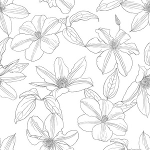 无缝图案与铁线莲花分离白色背景。设计元素为纺织品, 织品, 墙纸, 剪贴簿。矢量插图